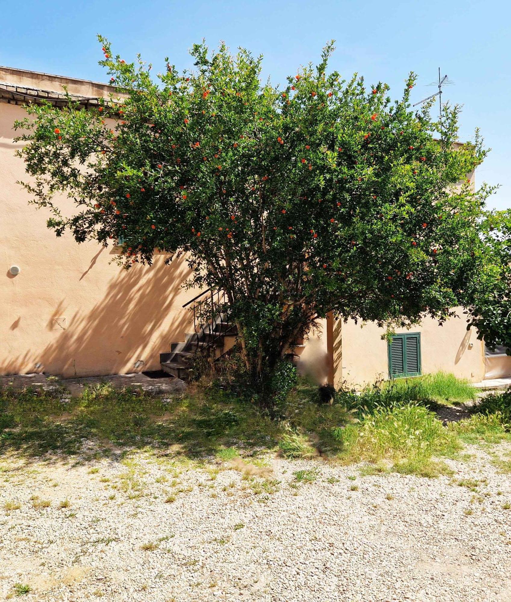 St.peter Station Appartement *